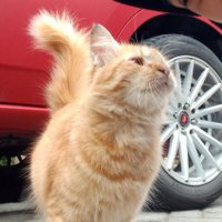 ileva π·ππ§π¨π°ππππ©° (@ethecraztic) 's Twitter Profile