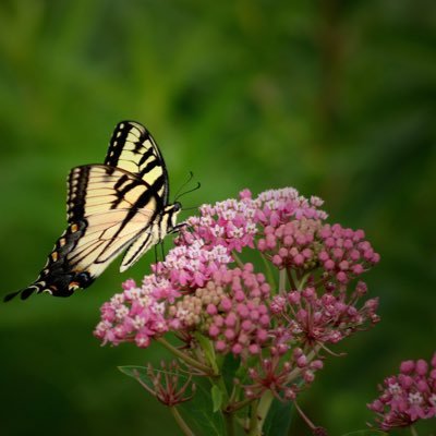 brian_lumley's profile picture. Running with scissors since 1966.