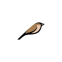 curious sparrow (@curiousparow) 's Twitter Profile