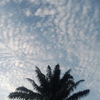 EbenDara1's profile picture. A fiery conflagration....  a crypto farmer..