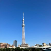 英国展、フランス展、スコパのあたまのなか (@atamanonaka_mi) 's Twitter Profile Photo 英国展、フランス展、スコパのあたまのなか (@atamanonaka_mi) 's Twitter Profile Photo