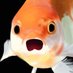 East (@east_0o0_) Twitter profile photo East (@east_0o0_) Twitter profile photo