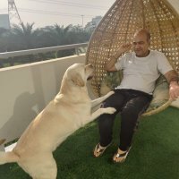 SareenDwarka (@sareendwarka) 's Twitter Profile Photo SareenDwarka (@sareendwarka) 's Twitter Profile Photo