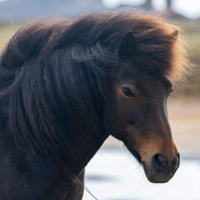 Muhamma71725779's profile picture. Trying to be a human. Yes i have made mistakes and in future as well there will be.