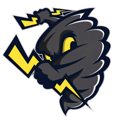 arashiswap's profile picture. All information regarding @arashiswap will be shared through the official DIFINES account @difines_ofc.