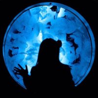 🅂 (@bni_mar3) 's Twitter Profile