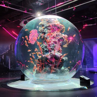 atrHUFNVreh5p5s's profile picture. 趣味　カメラ

人生後戻りできないのだから
前に進もうと思う

他人と過去は変えられないけど
自分と未来は変えられる！