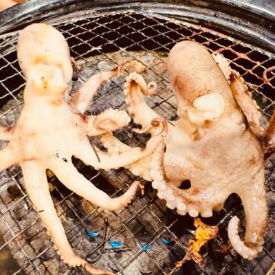 piala69778's profile picture. 