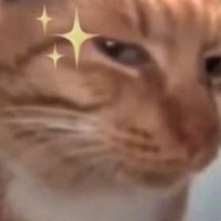 낀개 (@jeojineung0528) 's Twitter Profile Photo