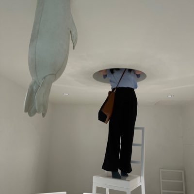 yashi3310's profile picture. モンスターボールで捕まっちゃう人