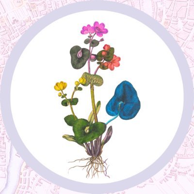 11 - 15 July 2024 | Gardens, Rivers and Marshes 🌳
Annual festival of arts, heritage & community in London's Waterloo. Presented by @stjohnswaterloo.