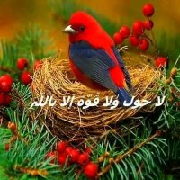 Amyn Ahmed (@amynahmed2) 's Twitter Profile