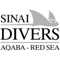 Sinai Divers Aqaba(@sdaqaba) 's Twitter Profile Photo