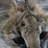 paddyjohnz's profile image