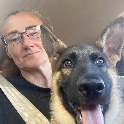 llslaugh1174's profile picture. 