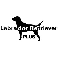 Labrador Retriever PLUS (@udgcoltd) 's Twitter Profile Photo Labrador Retriever PLUS (@udgcoltd) 's Twitter Profile Photo