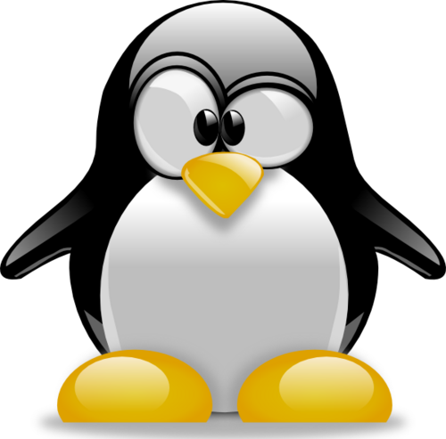 isrark's profile picture. 