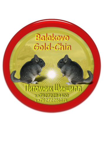 ChinbalBalakovo's profile picture. 