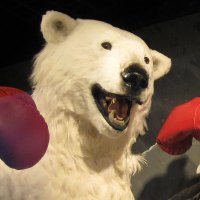 Theorieblog (@theorieblog) 's Twitter Profile