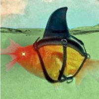 Sketchy Bears (@sketchy43634) 's Twitter Profile
