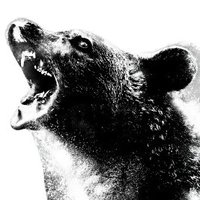 $COKE (@cokeoninj) 's Twitter Profile