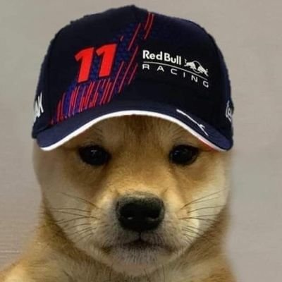 🏁_ My favorite drivers from the categories below_🏁
Formula 1: Perez, Verstappen, Colapinto, Albon and Bortoleto
Nascar: Heim, Gibbs, Larson and JH Nemechek