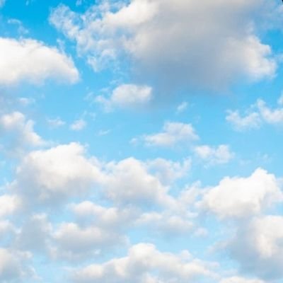 almtrya347's profile picture. 