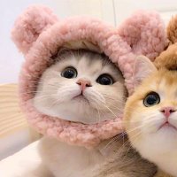 🦋 (@deardeurim) 's Twitter Profile Photo 🦋 (@deardeurim) 's Twitter Profile Photo