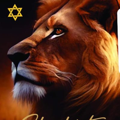 rashton2803's profile picture. Bible Believing Conservative Christ Follower