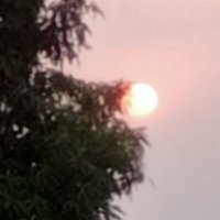 priyam Dwivedi (@vishwajeetdwi19) 's Twitter Profile