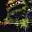 dudley02's profile image
