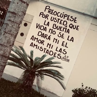 JoacoSanchez46's profile picture. TE PODRÁS ADORNAR CON LAS PLUMAS DE OTRO, PERO NO VOLAR CON ELLAS.