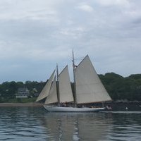 Kyle Harder (@kyleharder) 's Twitter Profile