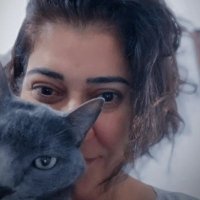 Carol Maia (@carolma59343950) 's Twitter Profile