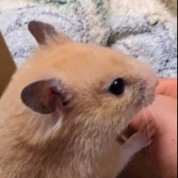 オンリーまとぅ (@xm4ikvbrflstdrw) 's Twitter Profile