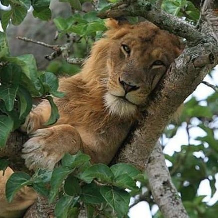 Dee2737's profile picture. 🏴󠁧󠁢󠁥󠁮󠁧󠁿
#TeamCarrotCottage