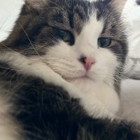Haunter (@hauntterr) 's Twitter Profile