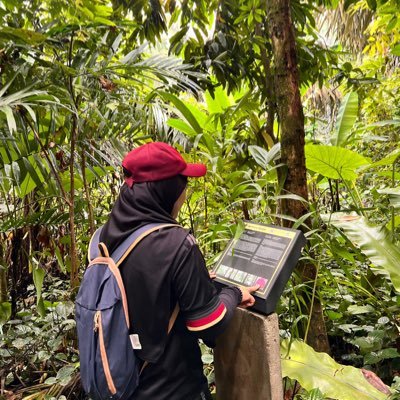 ienahanafy's profile picture. 