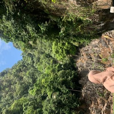 qilahasr's profile picture. Cheers to youth