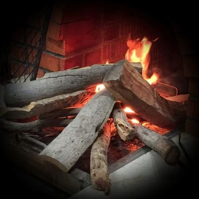 MohedAlfify's profile picture. الله يديم عزك ياوطن 🇸🇦