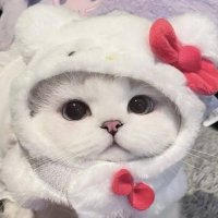 あ❔ (@wainoturn) Twitter profile photo