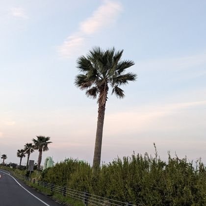 KoheiKimura3's profile picture. 