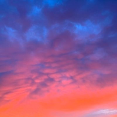 jacksoneldridge's profile picture. 