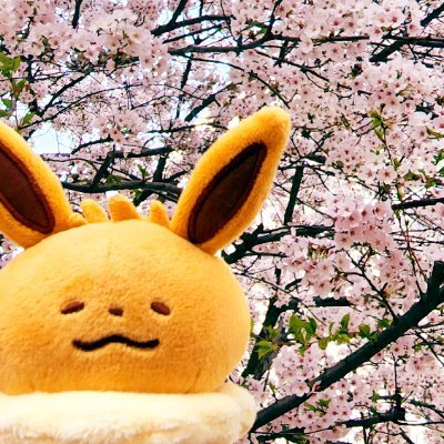 @maraet_hh