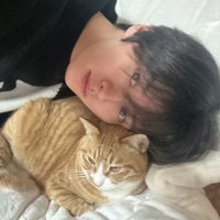 개노리 (@knowlee_dog) 's Twitter Profile