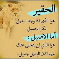 نصر هاشم (@nsr_hashm) Twitter profile photo