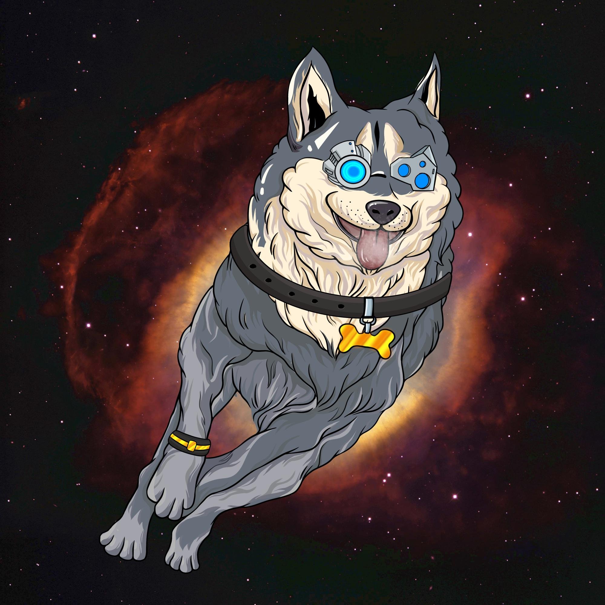 peto2020's profile picture. 