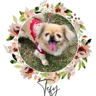 pRendonArizaga's profile picture. Cuencano, arquitecto …i love 80’s 🏈🐶🐶 #BillsMafia