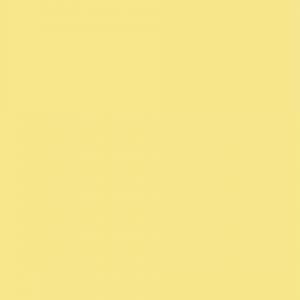 Kise__gm's profile picture. 会えない屋さんになりました