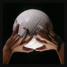 Temmzvolley's profile picture. 🇪🇺European Volleyball  🇹🇷Turkish NT

#FileninEfeleri #FileninSultanları